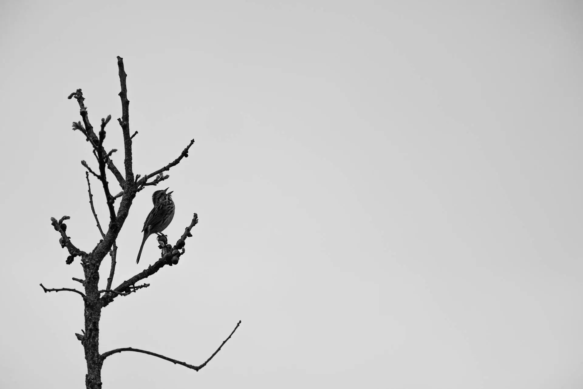 Salib Kristus Menghancurkan Penjara Kasat Mata